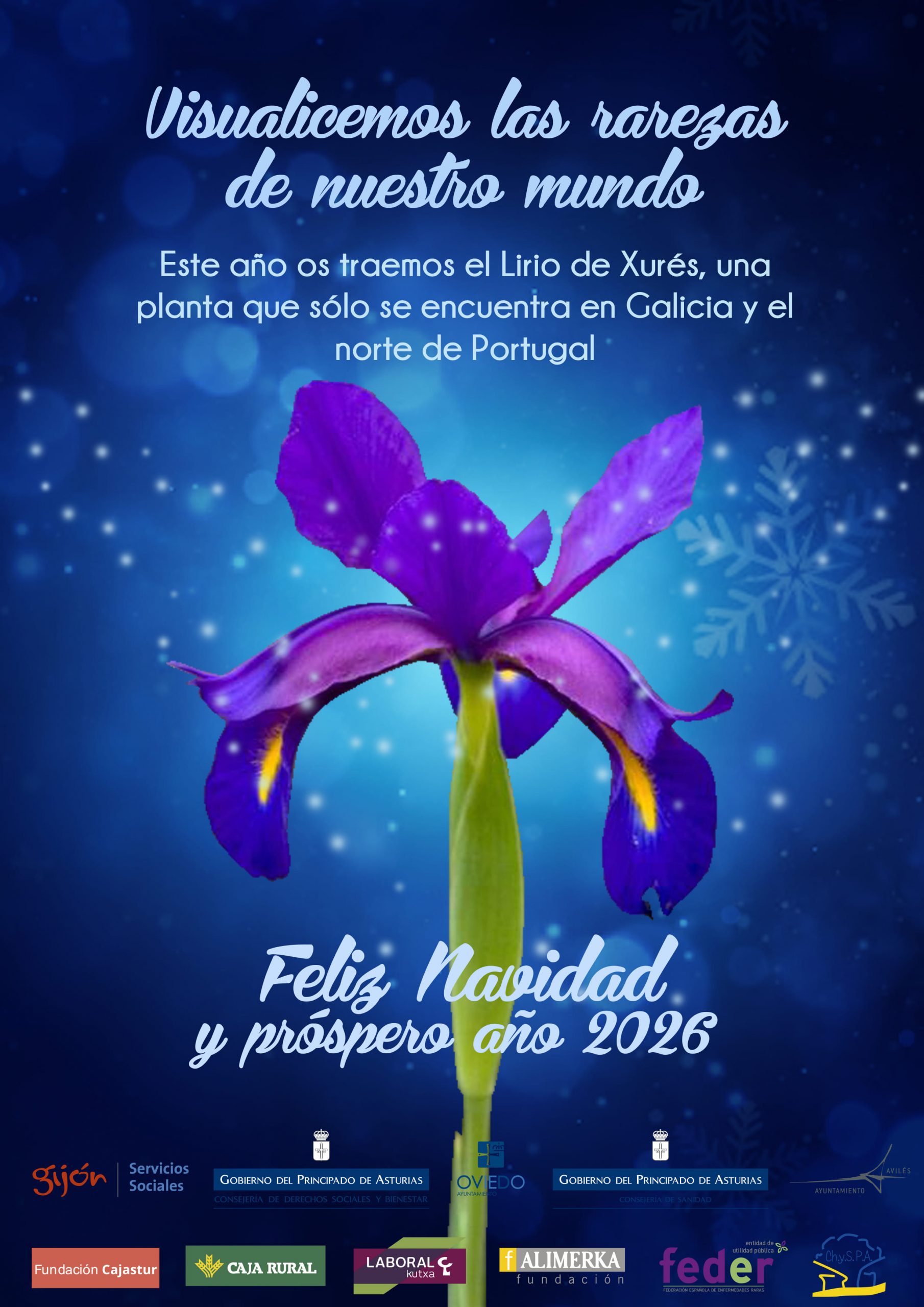 Estas Navidades os traemos el Lirio de Xurés, para celebrar las rarezas de la naturaleza. Desde ChySPA os deseamos Feliz Navidad y Próspero año 2026